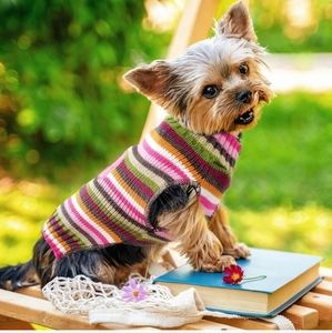 Simply Dog Turtleneck multi colored striped dog bone jumper sweater
